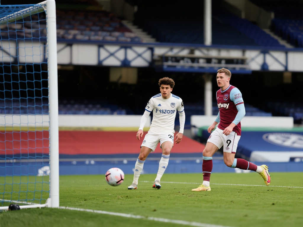 尊重与观赏 尊重与观赏