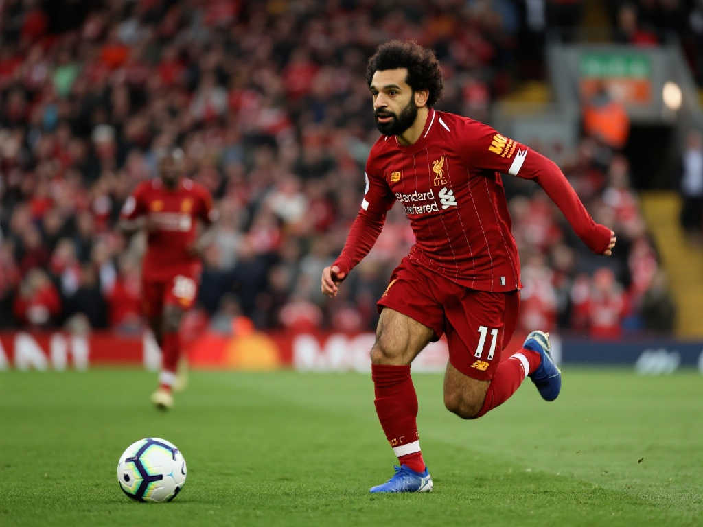 球和妙笔生 球和妙笔生